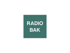 SYMBOL RADIO BAK (Grønn)